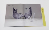 “Networked Encounters Offline” exhibition catalogue